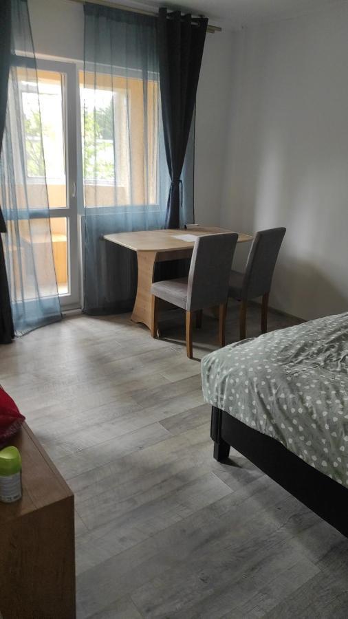 Appartement Garsoniera Turda Maria Extérieur photo